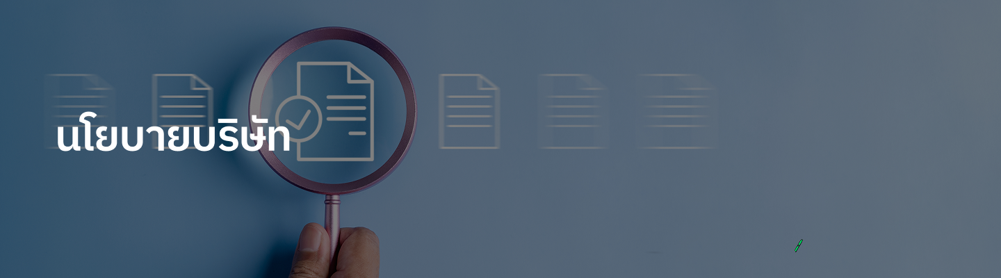 นโยบายบริษัท